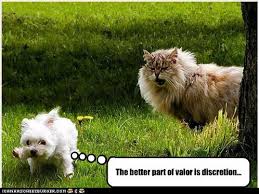 "Discretion is the greater part of valor."

Sometimes it's important to know when to give up and run away, instead of always 