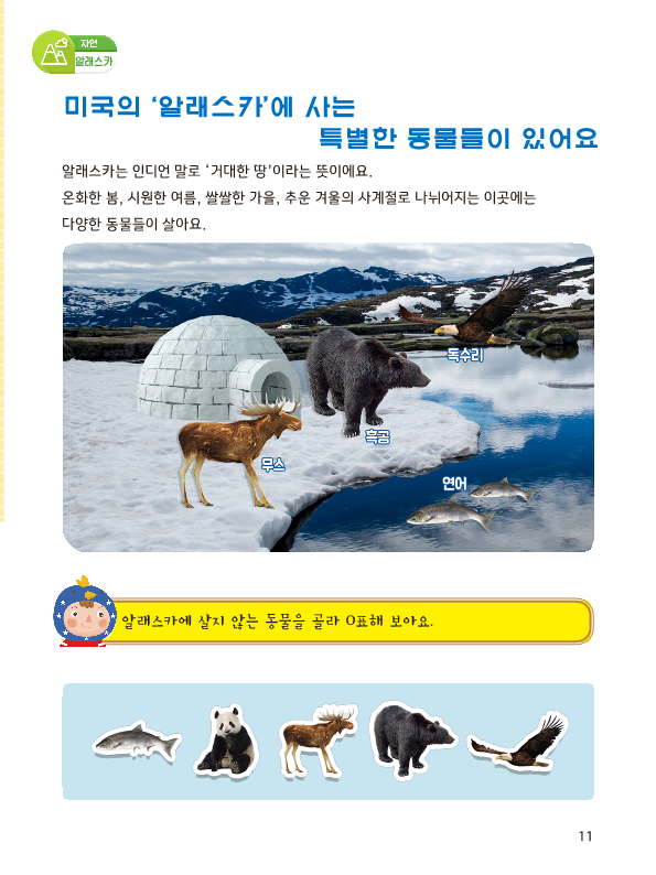 (2주) 자연/알래스카