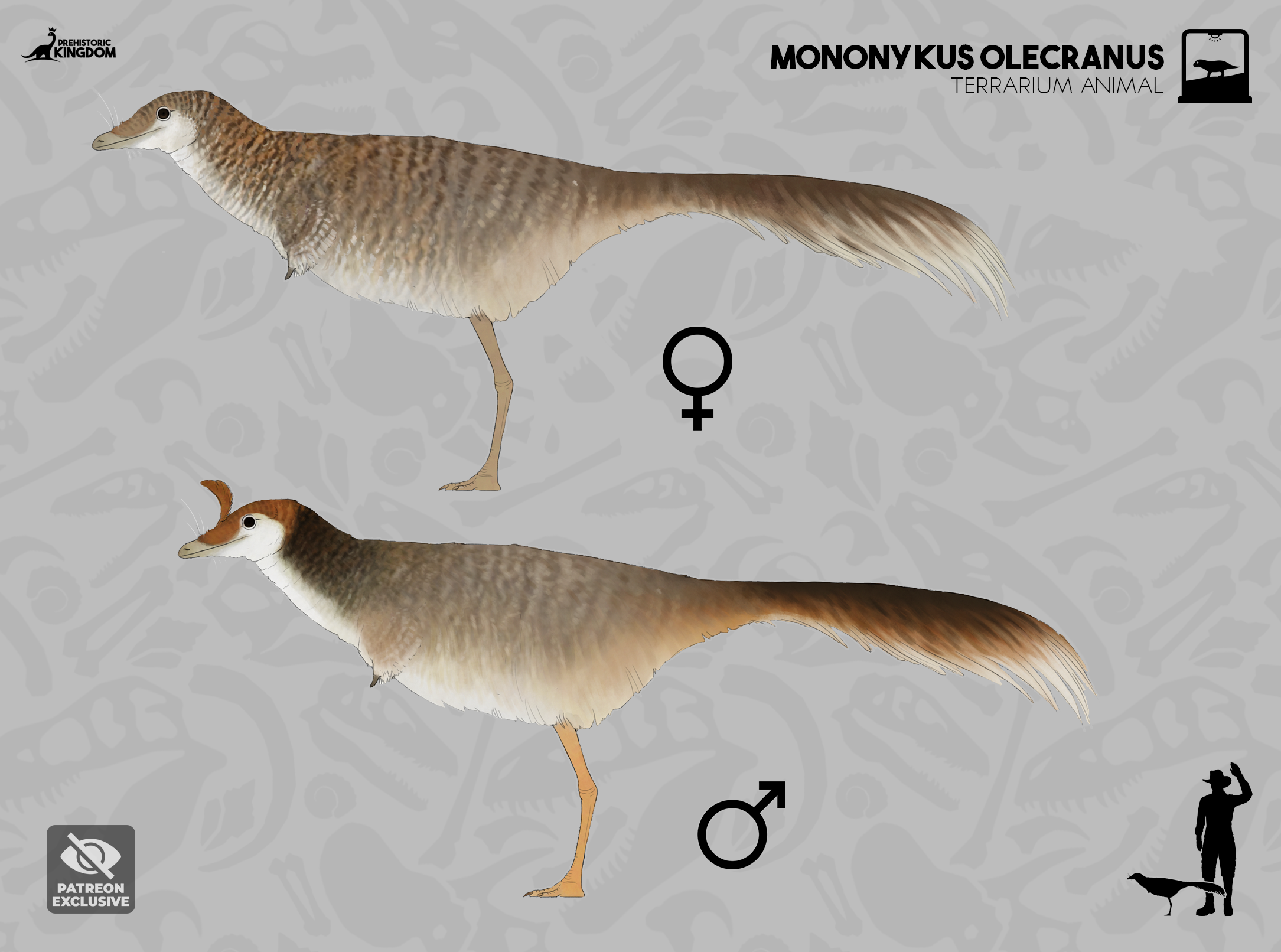 Mononykus olecranus