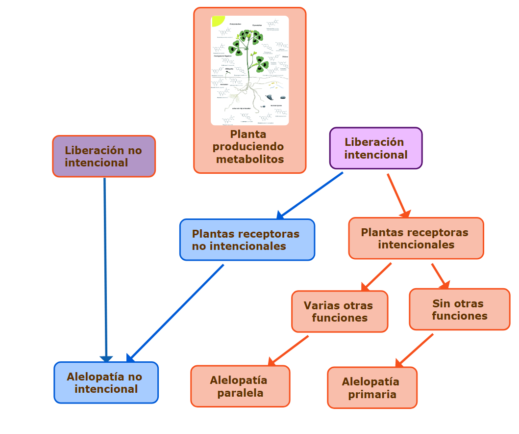 Tres posibilidades
