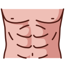 Abdomen