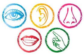 sensorielle
