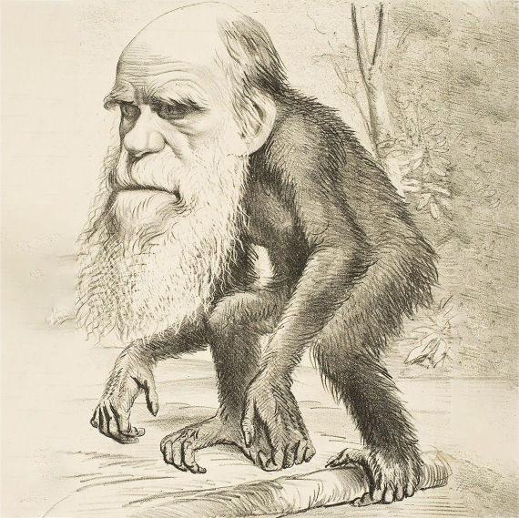 Upplysningsidéer