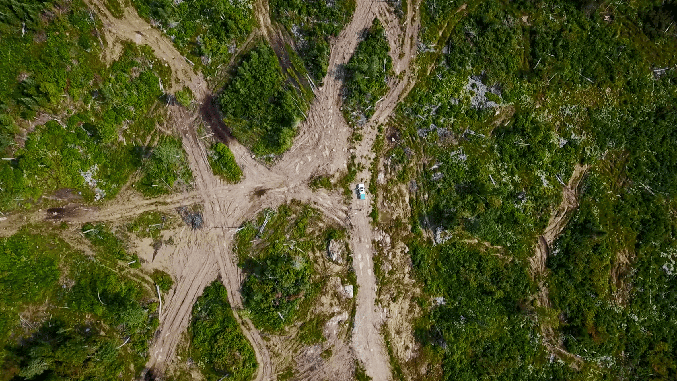 "Forestry roads & landings carve out the equivalent of about 40,000 football fields a year in Ontario alone – an area seven t