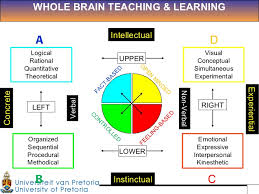 Whole brain theory on teaching