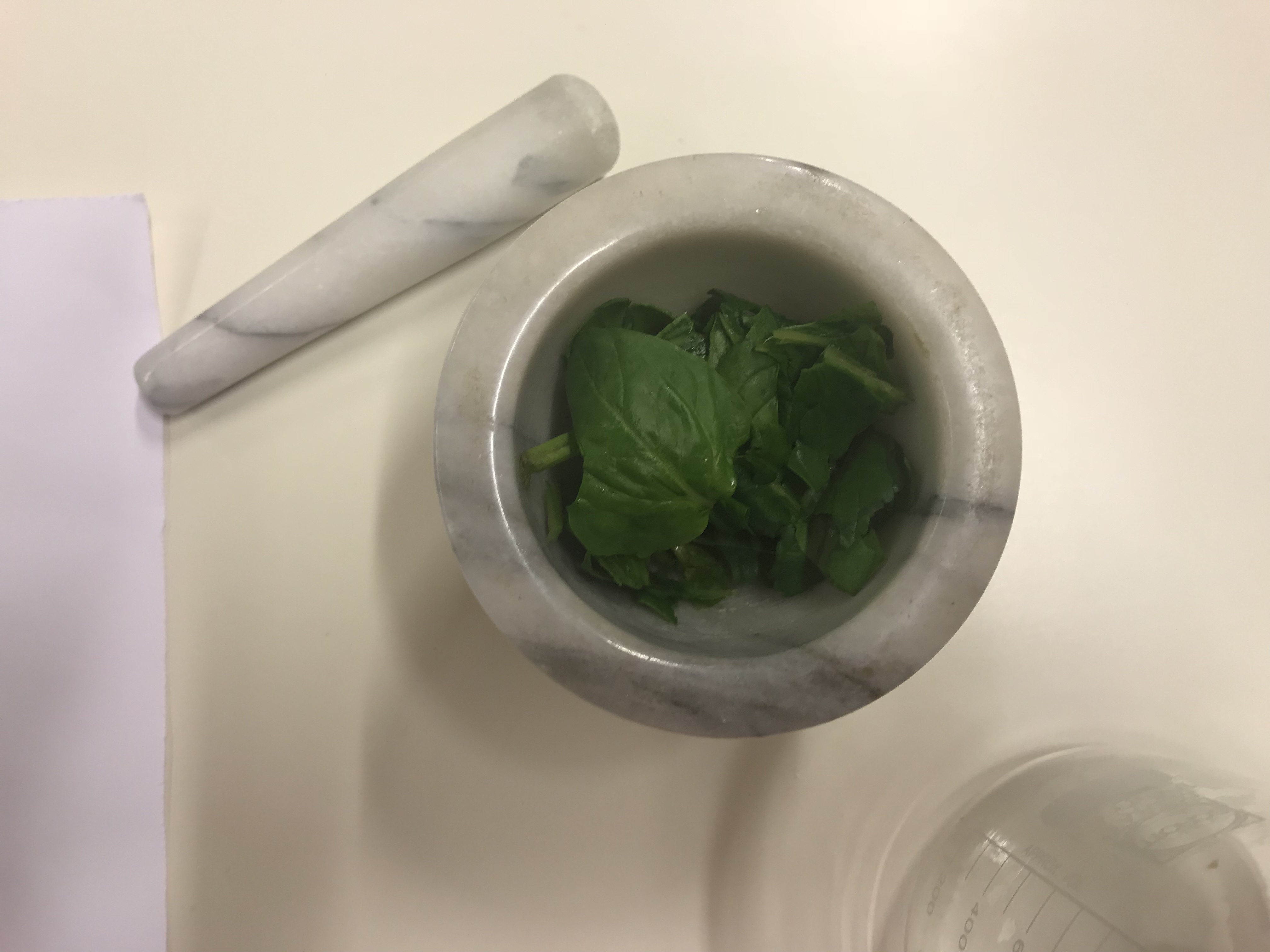 Procedimento: mettiamo gli spinaci nel mortaio