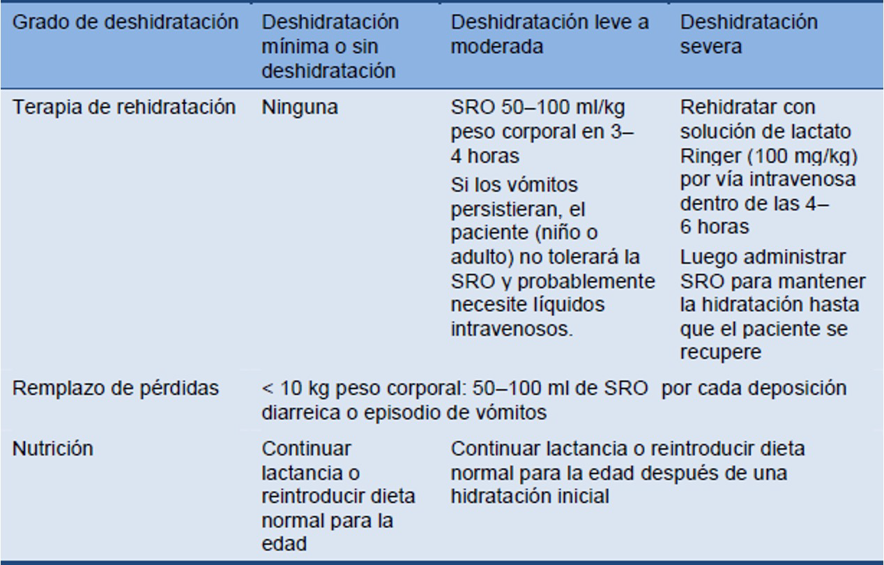 2. Terapia líquida de mantenimiento 
(para compensar las pérdidas que persisten luego de
 alcanzada la rehidratación)