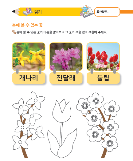 (누리-언어) 봄에 볼 수 있는 꽃