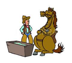 "You can lead a horse to water, but you can't make him drink."

If you try to help someone, but they don't take your advice o