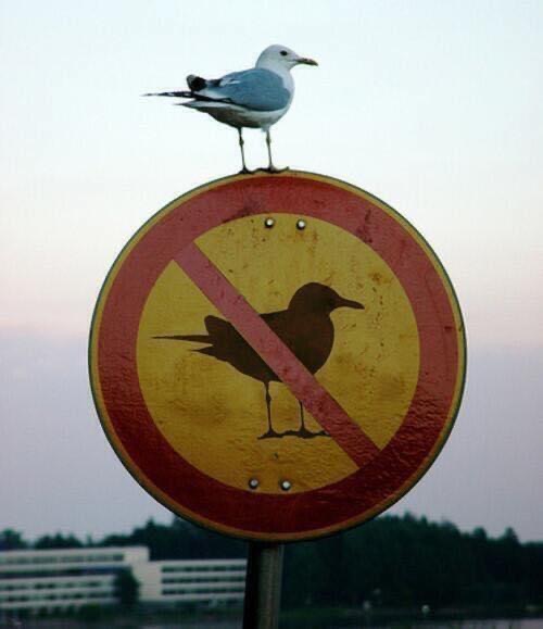 Challenge the status quo