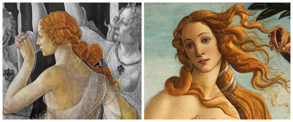 Identificabile in SIMONETTA VESPUCCI