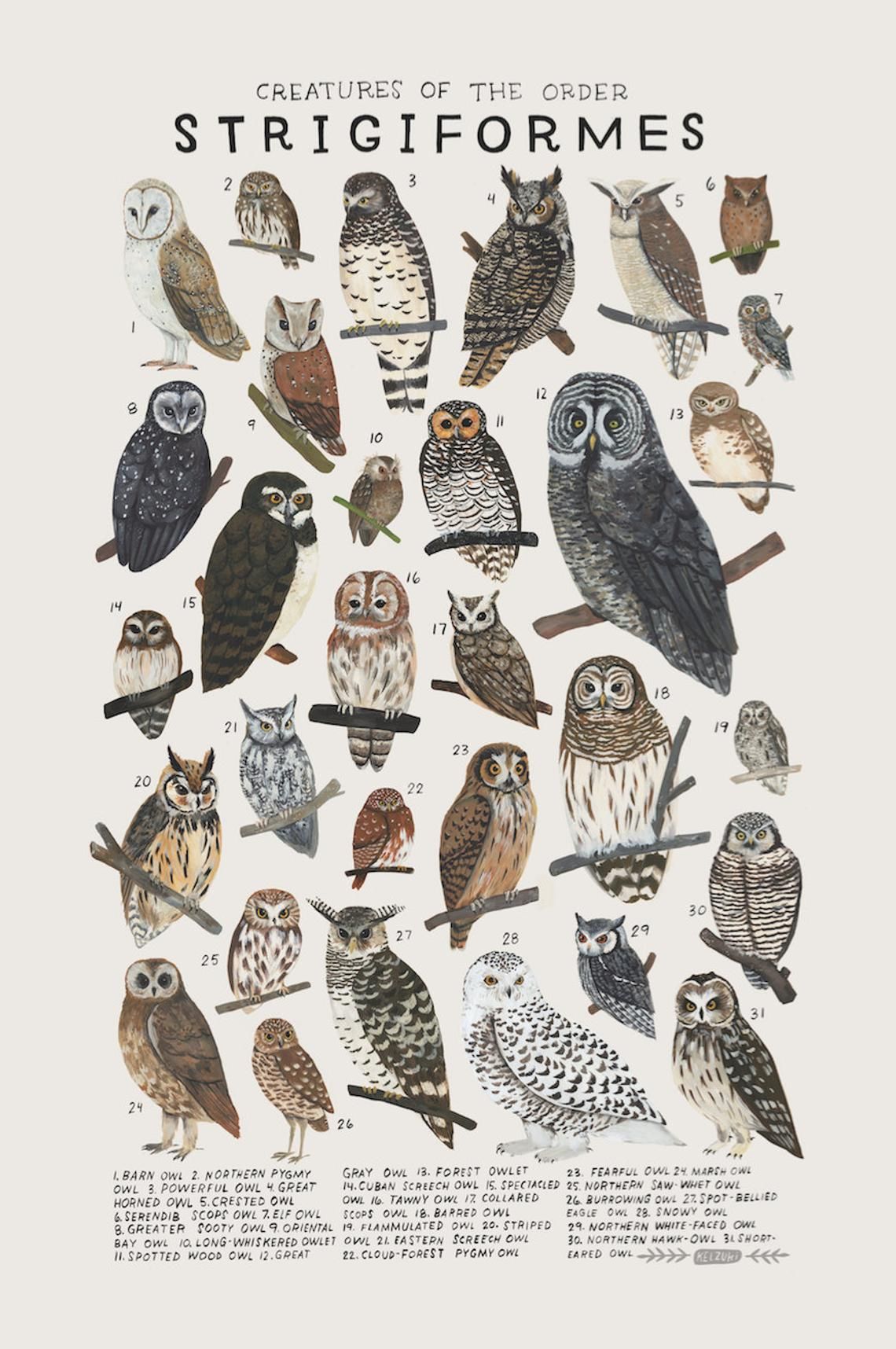 Strigiformes