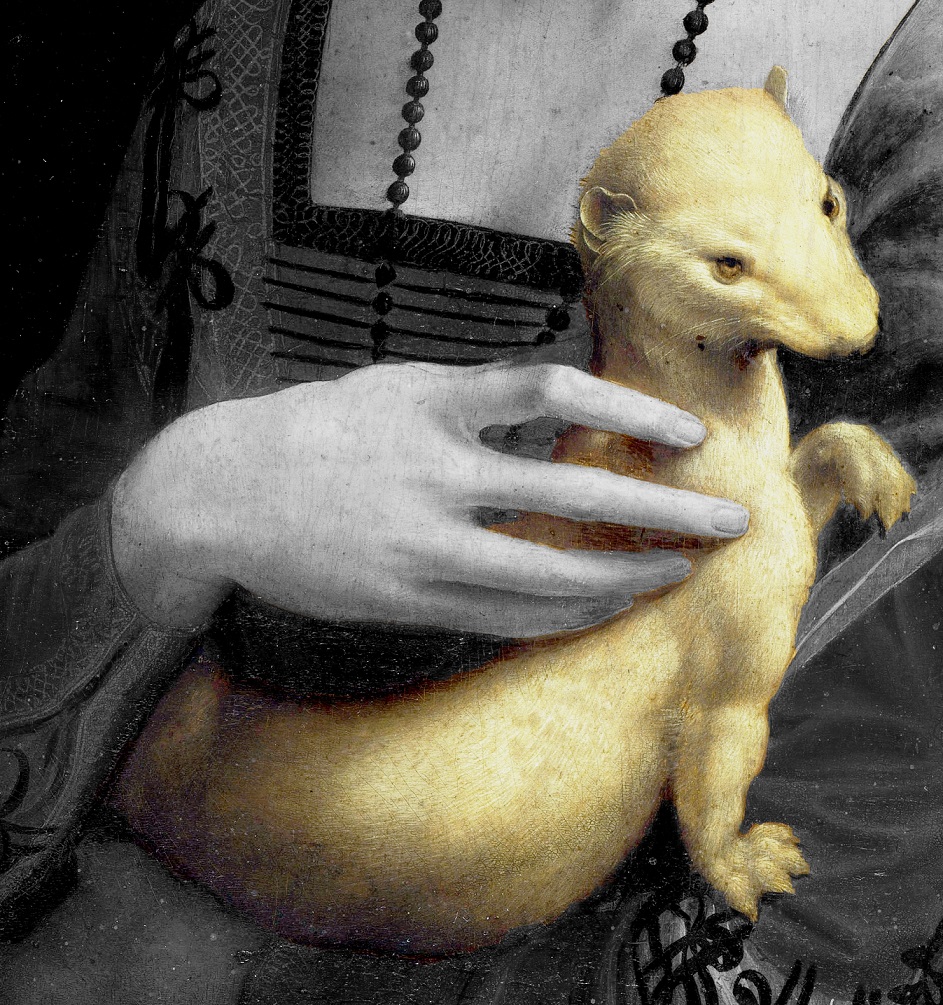 l'ERMELLINO, oltre ad essere il simbolo di Ludovico presenta un'assonanza con il nome della Gallerani: questo animale in grec