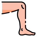 Lower extremities
