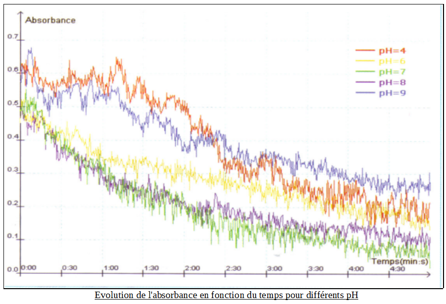 Graphiquement, nous remarquons que plus l'absorbance diminue en fonction du temps, plus le pH est efficace pour l'activité en
