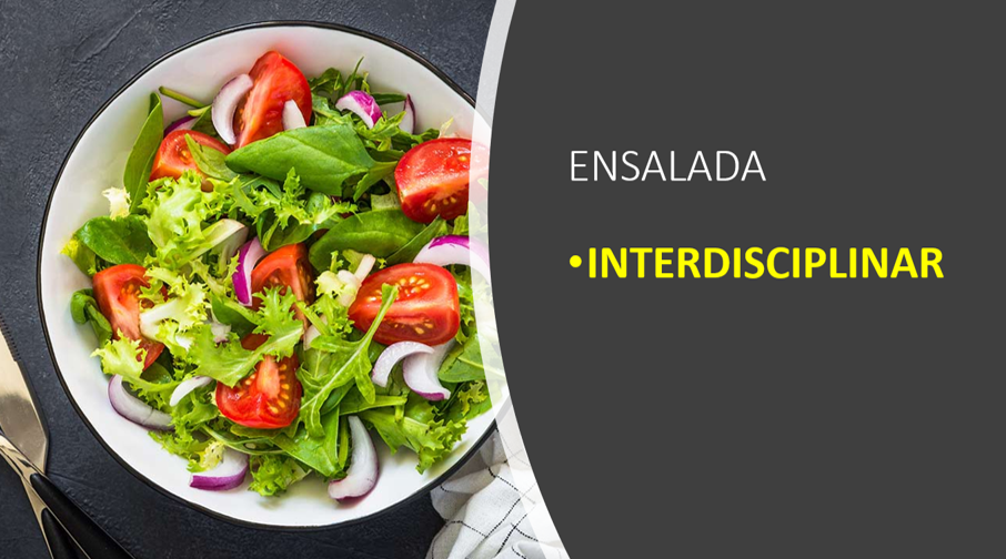 Interdisciplinariedad