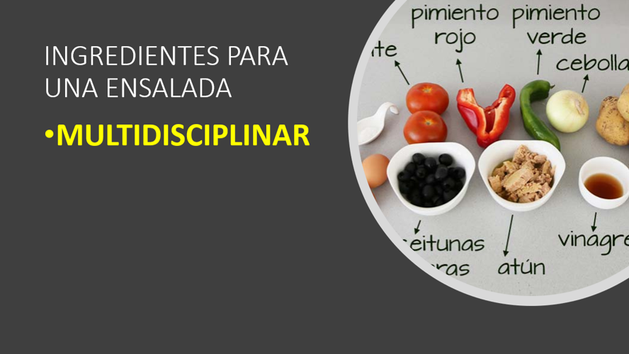 Multidisciplinariedad