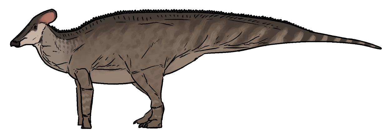 Tlatolophus galorum