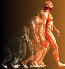 Evolucionismo