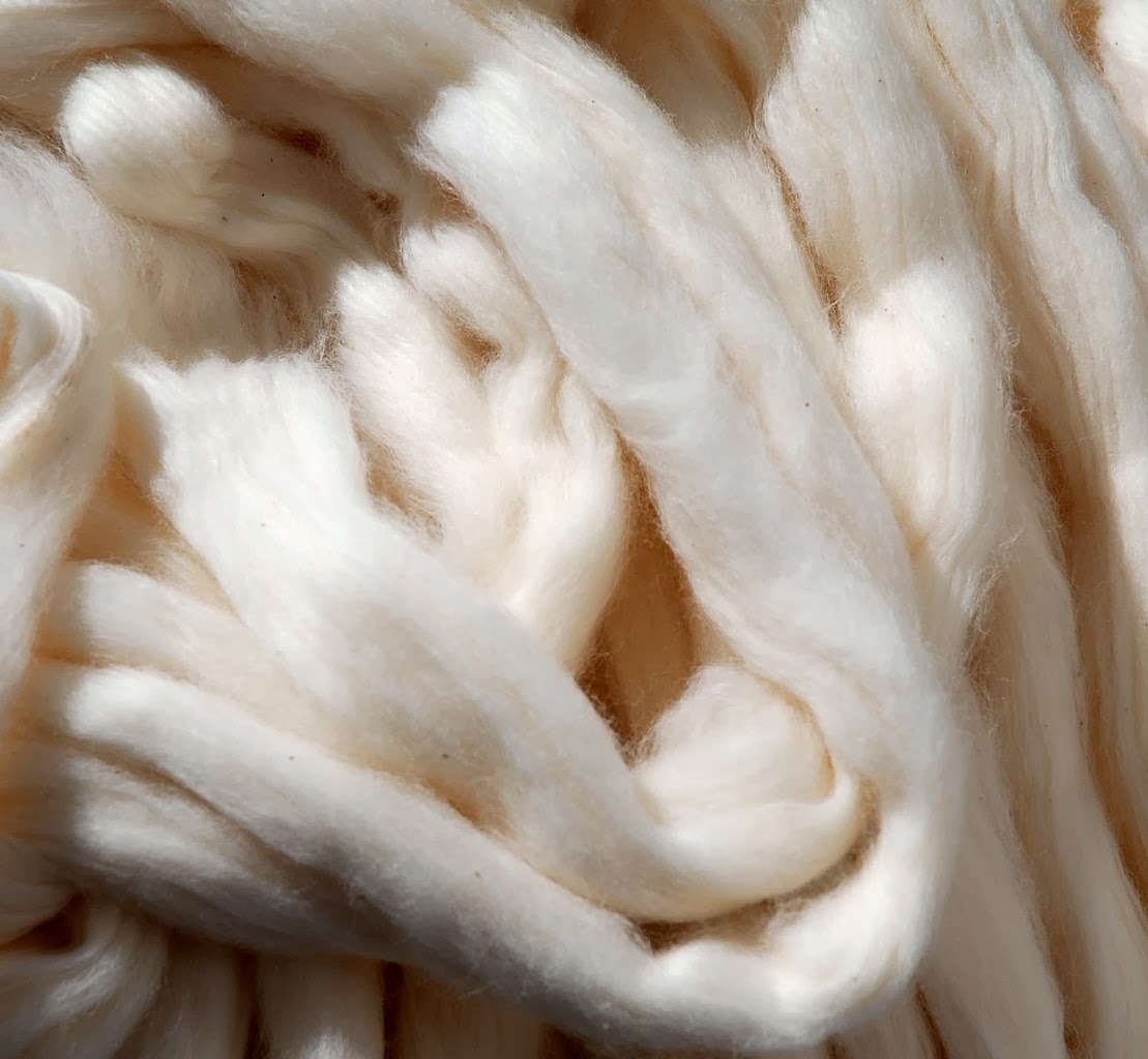 Cotton fibers comes from cotton plants which germinate during the spring/summer season.