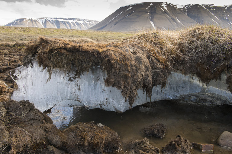Melting Permafrost