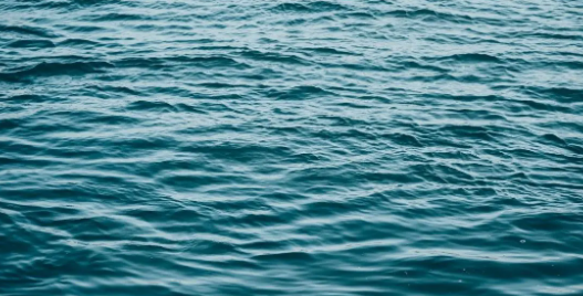 Water (Solutant)