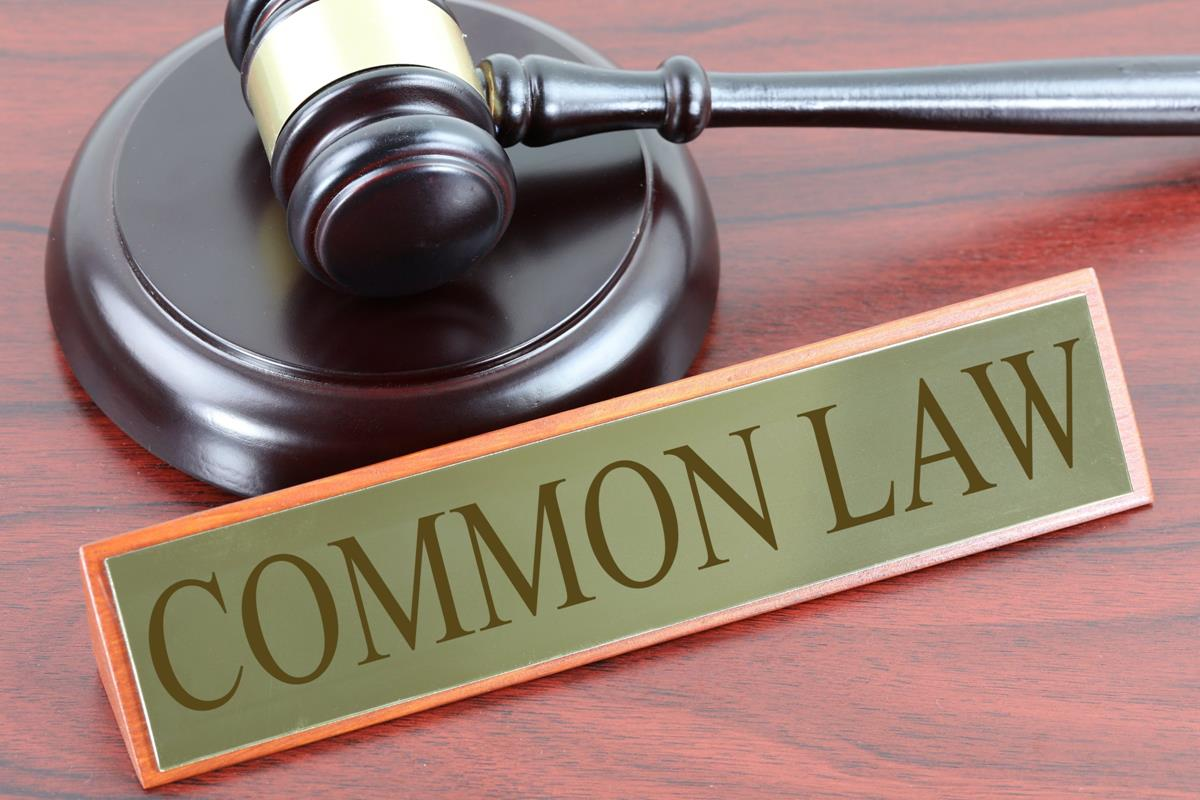 Common Law couples make up 22% of households in Canada (Highest and Lowest Canadian Divorce Rates By Profession, 2019)