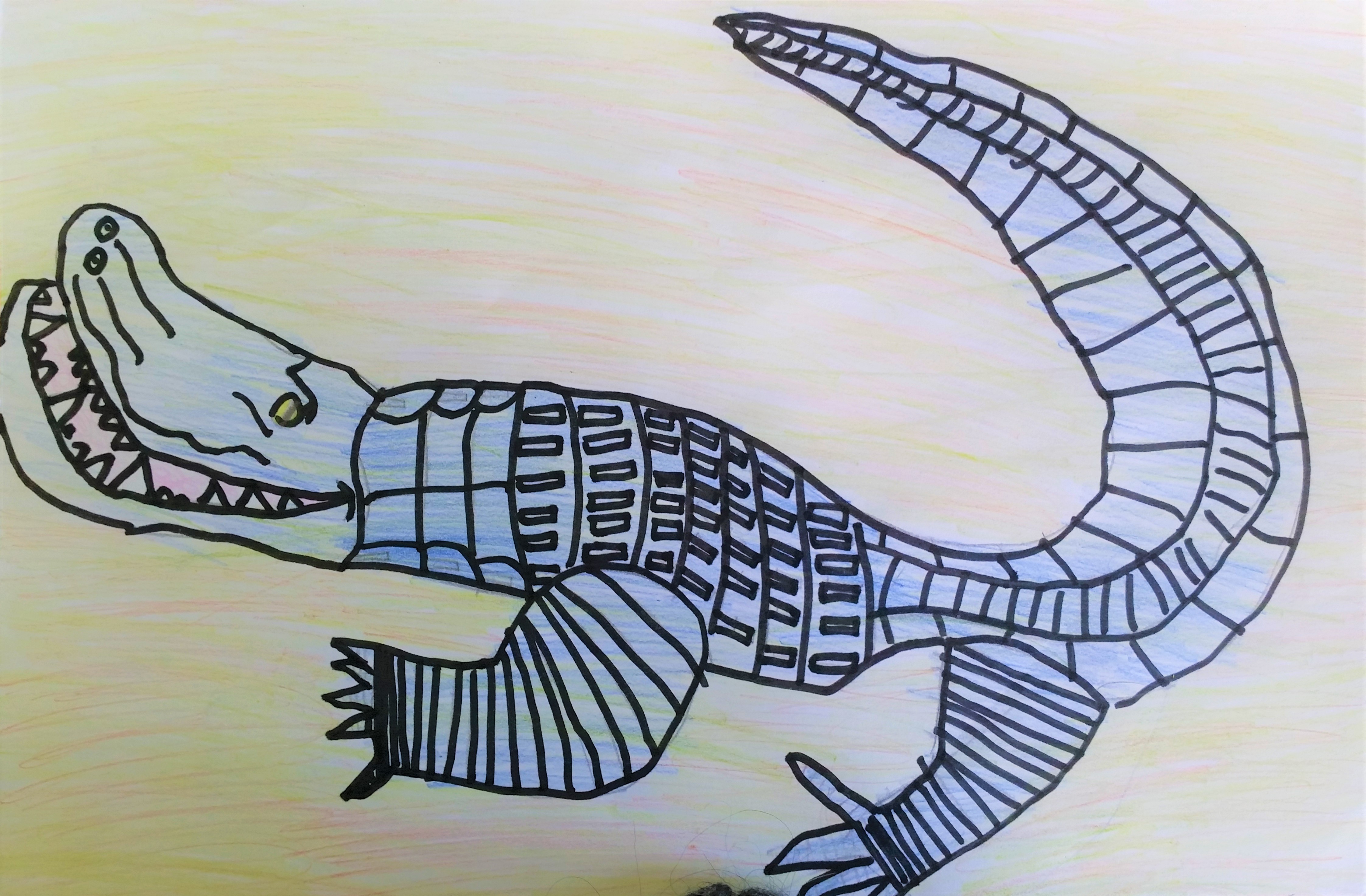 ALLIGATORE