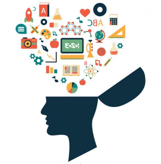 8 tipos de aprendizaje