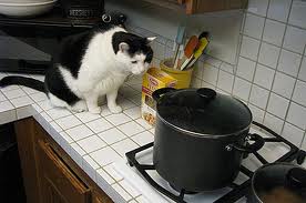 "A watched pot never boils."

If something takes time to finish, don't watch it too closely because it will seem like it's ta