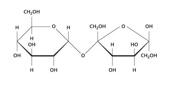 Basic structure