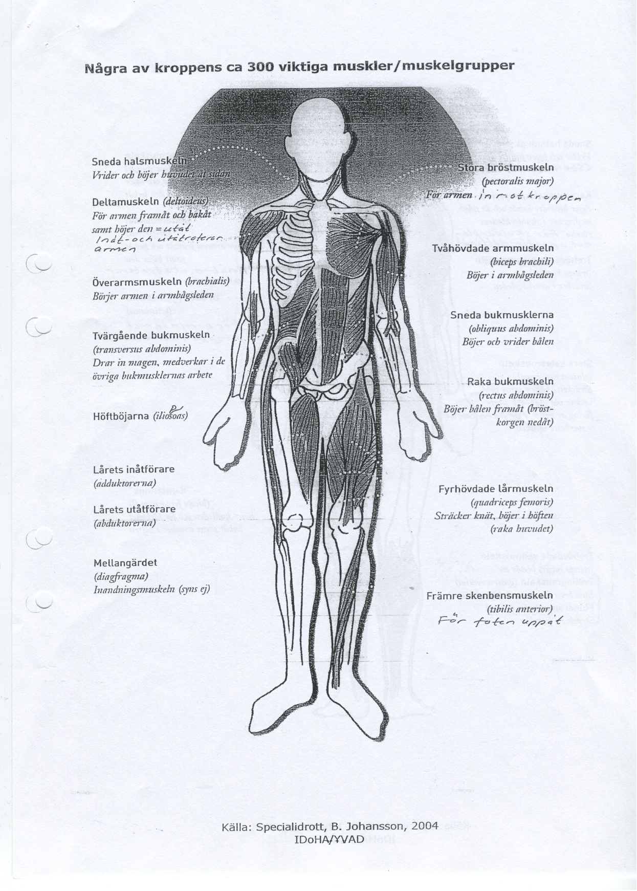 Framsida