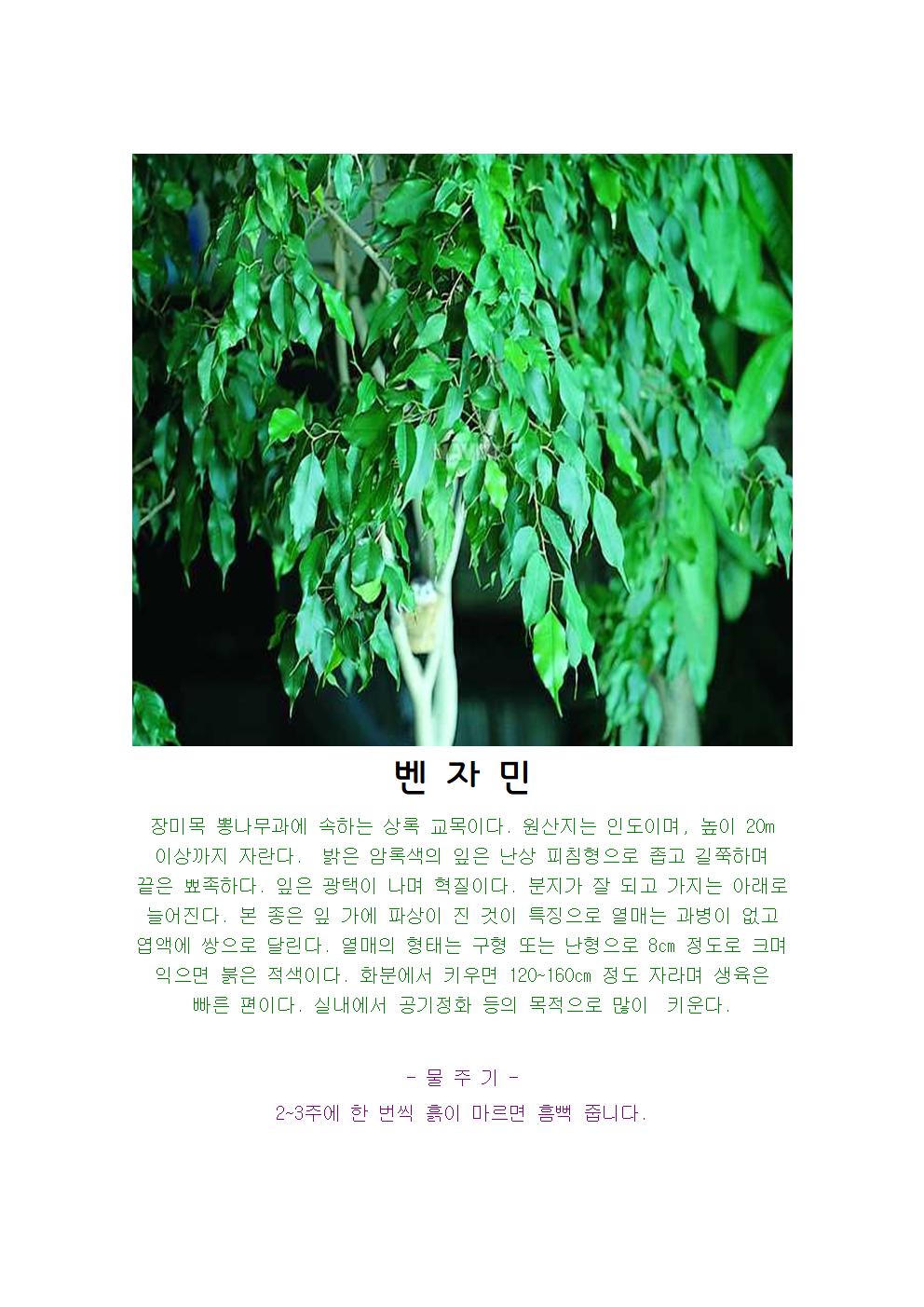 벤자민