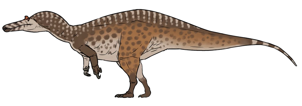Suchomimus tenerensis