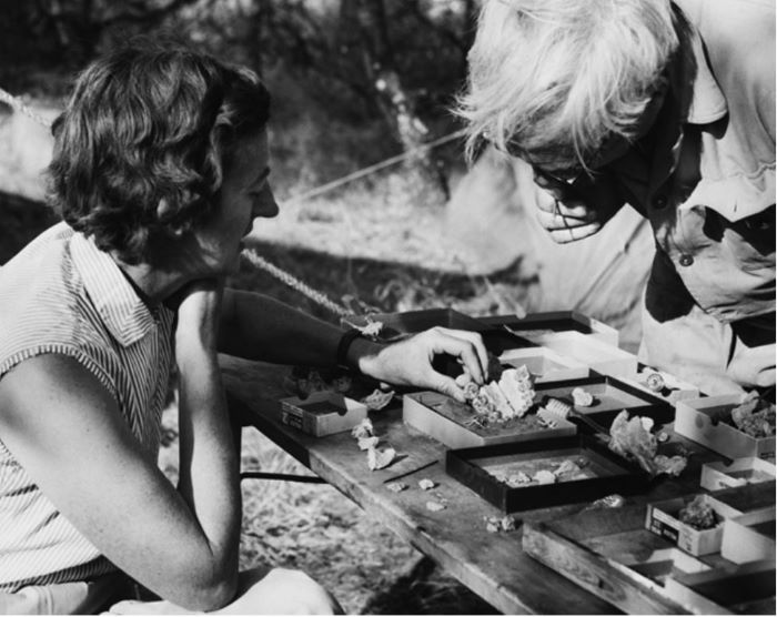 The Leakey Family
 They found further proof that humans have origin in Africa