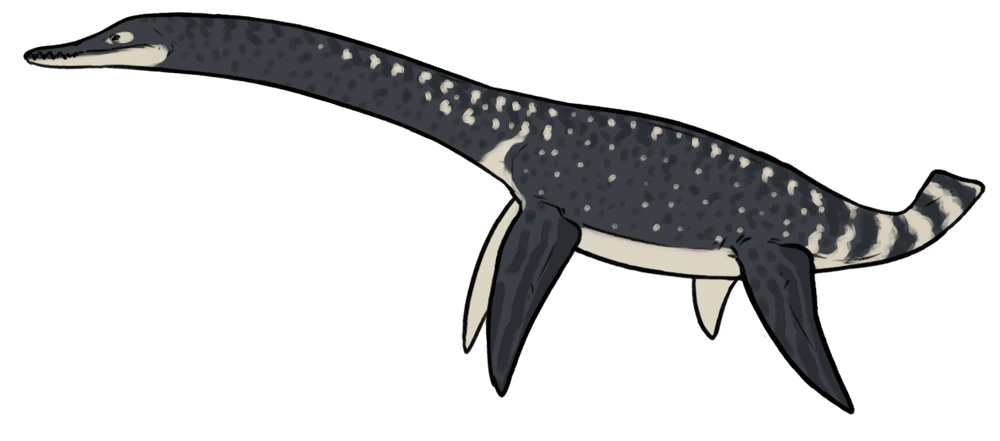 Serpentisuchops pfisterae