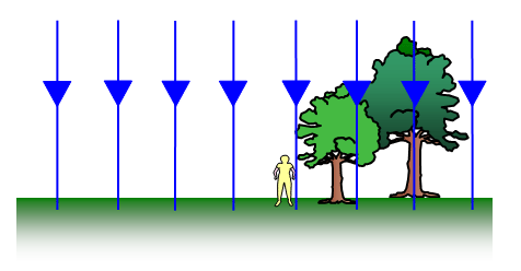 Freefall due to the acceleration of gravity found by the formula for gravitational field strength (Earth being 9.81 m/s^2):