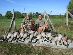 Licensed Hunting/ Sport Hunting