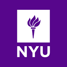 Programme de Collège au NYU