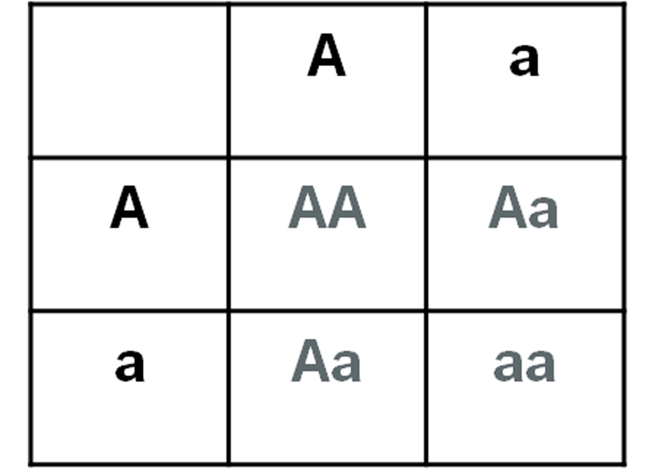 Punnett squares