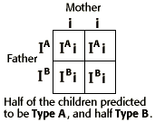 Punett square showing the predictions of blood type