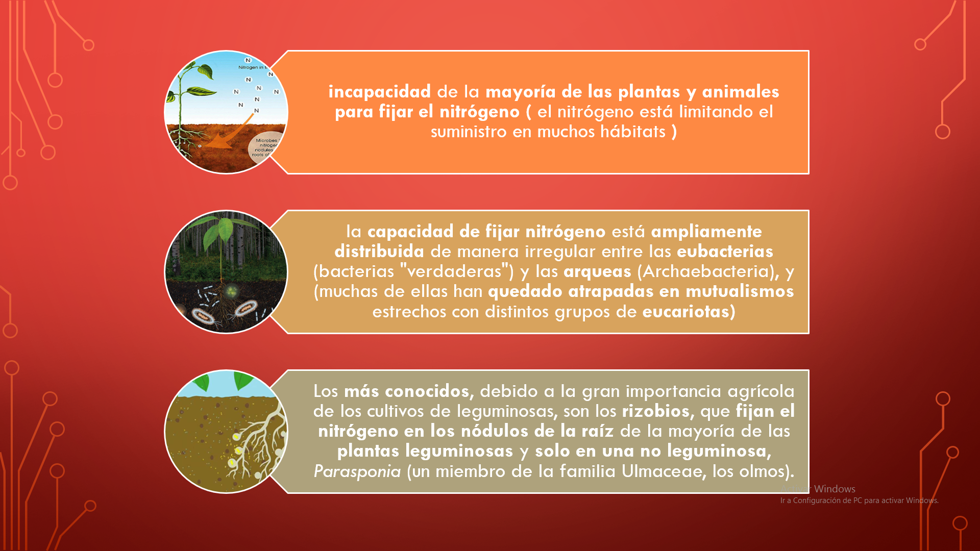 Plantas mutualistas