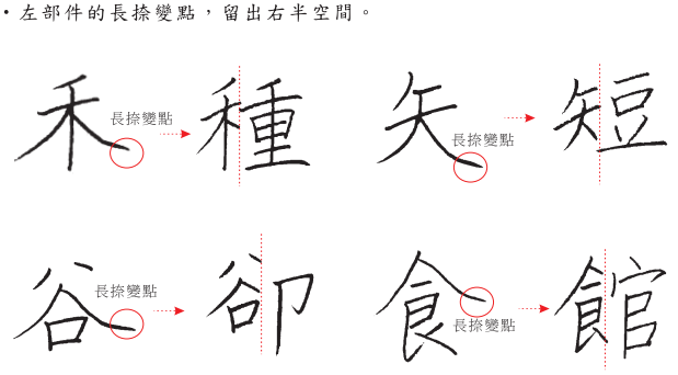 分支主題