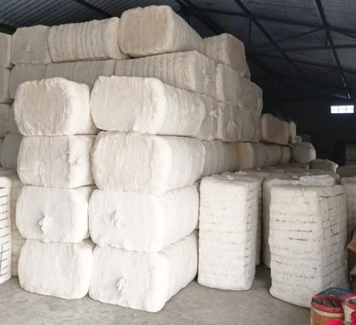 The cotton is organized into 225 kg bales