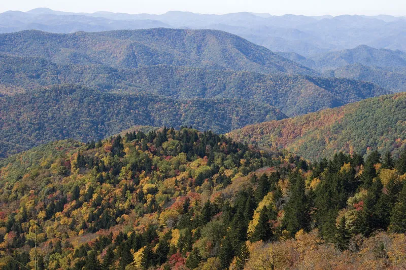 Appalachian Uplands