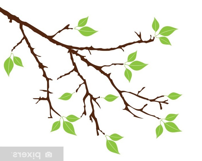 Branches principales