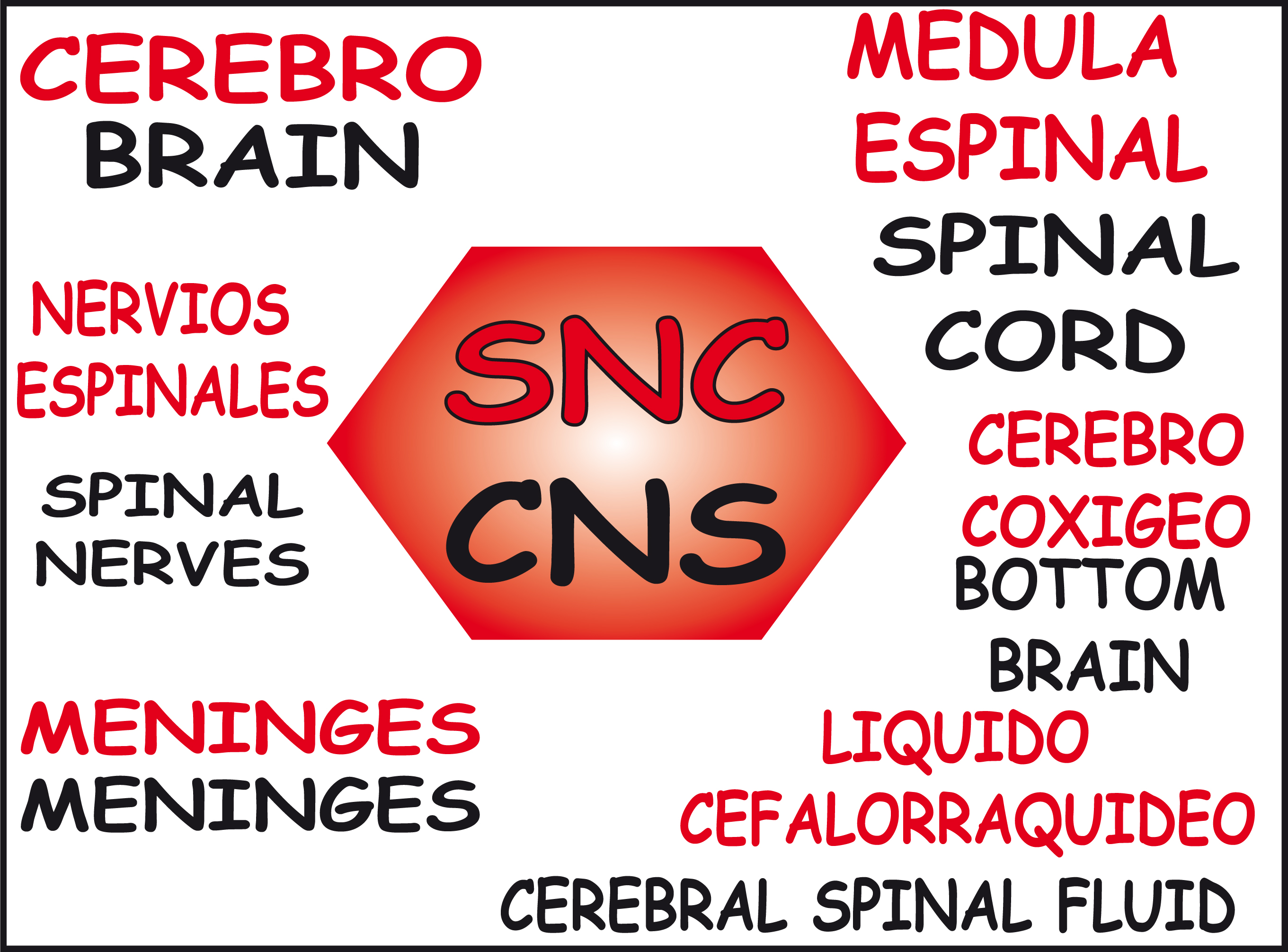 SNC