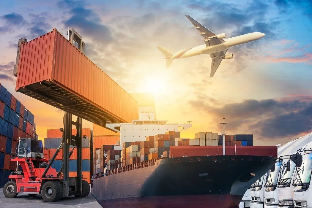 Is a person or company who brings goods from foreign/abroad countries into their country for sales. An example could be AgriC