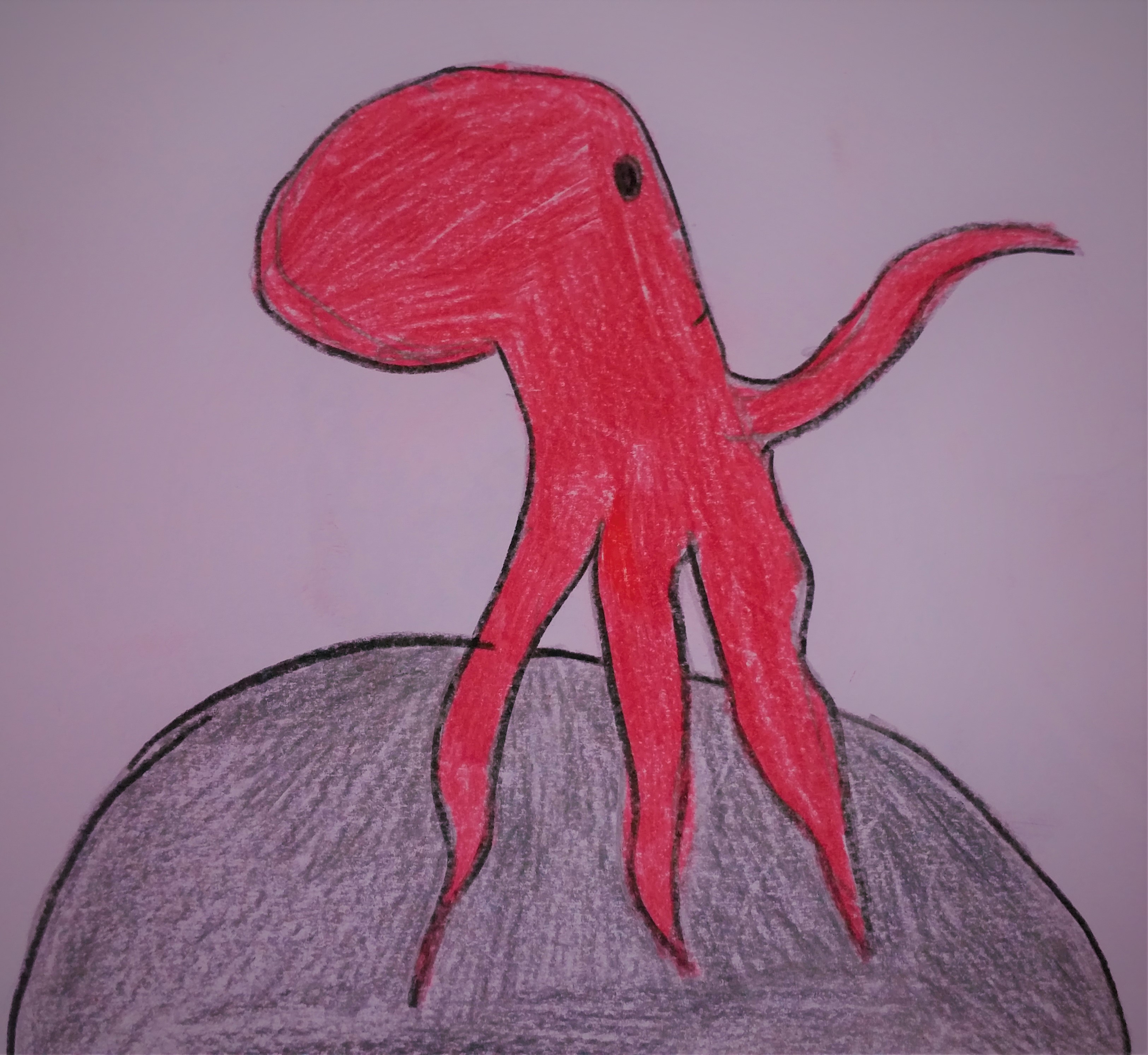 POLPI