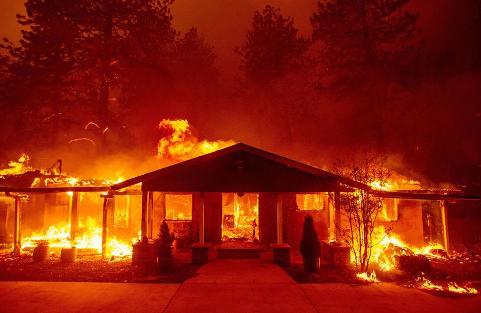 People & animals losing homes